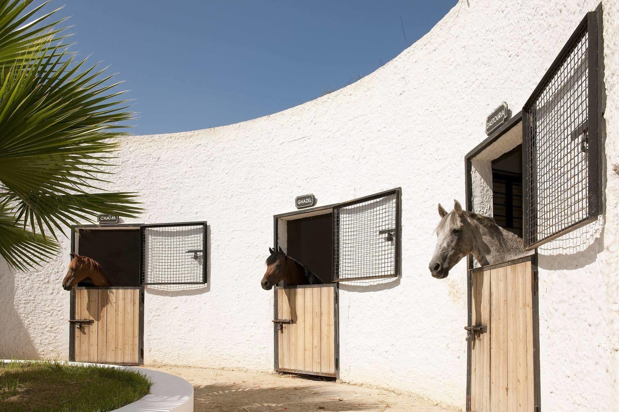 Hotel Sentido Phenicia